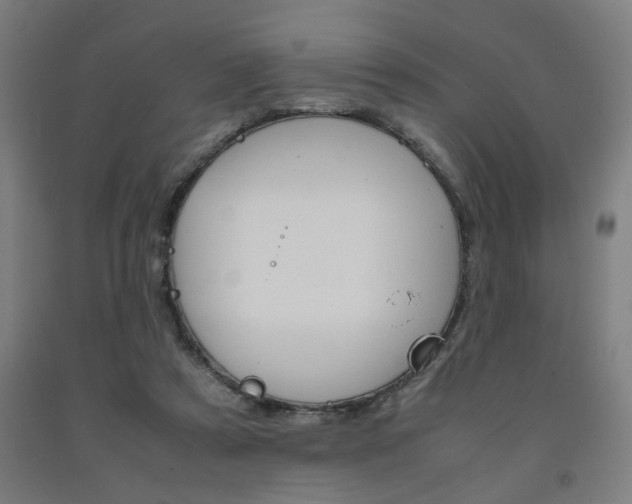 X0000093240305200709261535