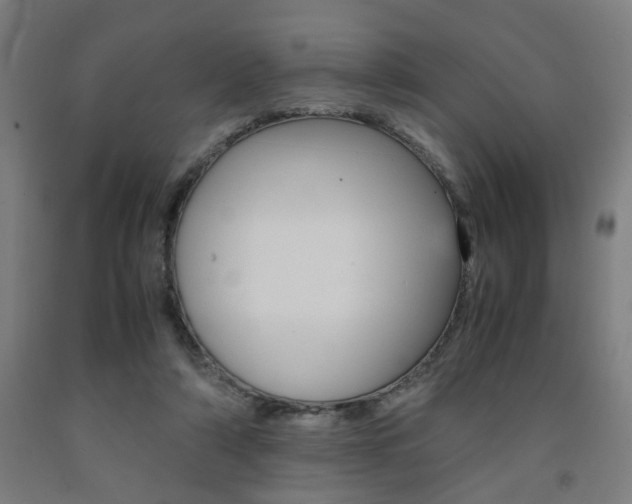 X0000093240306200709261535