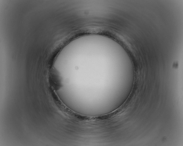 X0000093240307200709261535