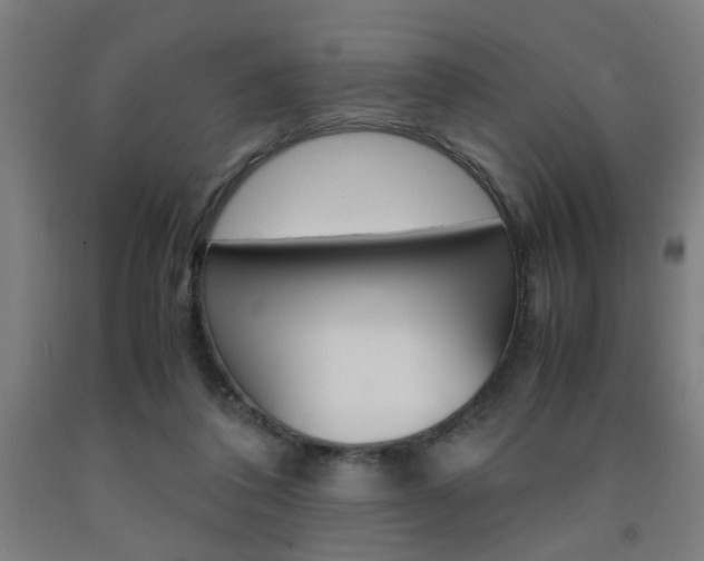 X0000093240308200709261535