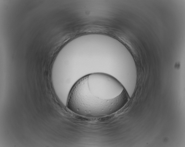 X0000093240309200709261535