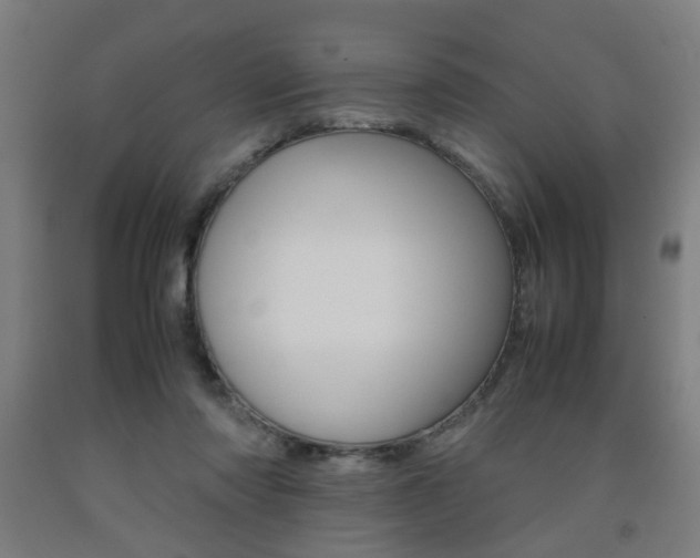 X0000093240310200709261535