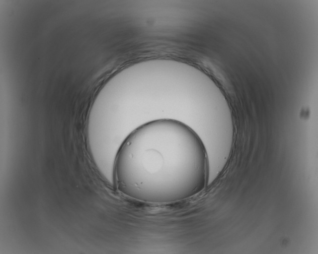 X0000093240313200709261535
