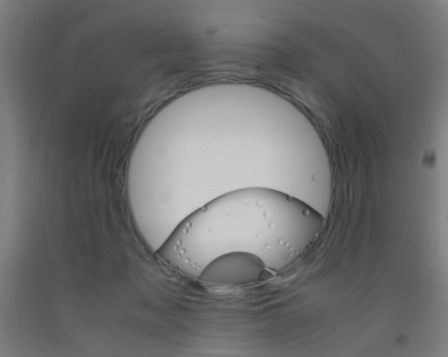 X0000093240317200709261535