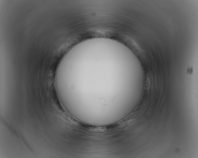 X0000093240318200709261535