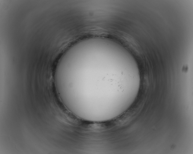 X0000093240320200709261535