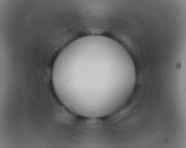 X0000093240321200709261535