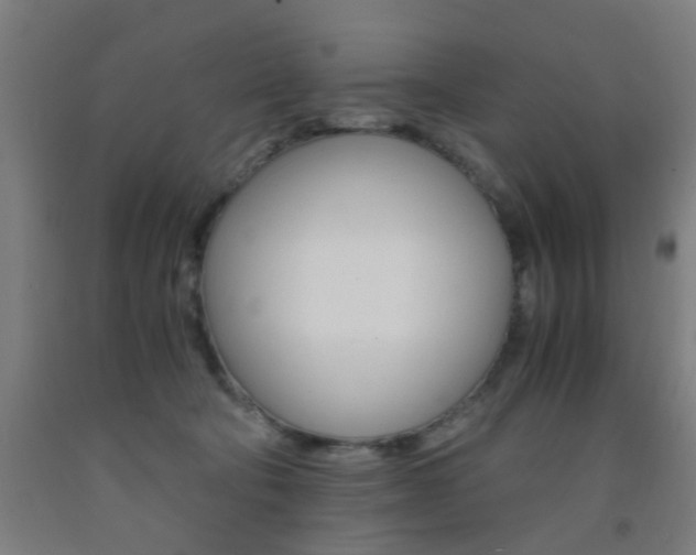 X0000093240322200709261535