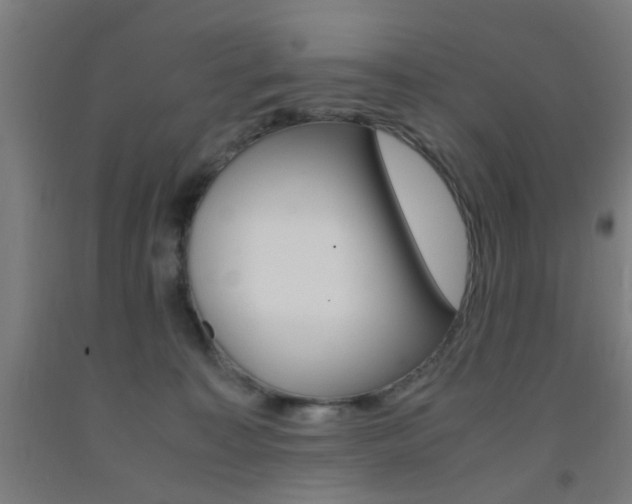 X0000093240323200709261535