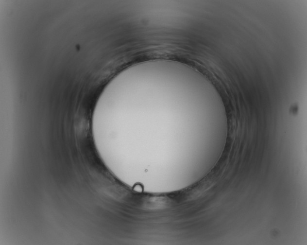 X0000093240324200709261535