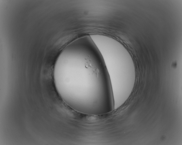 X0000093240325200709261535
