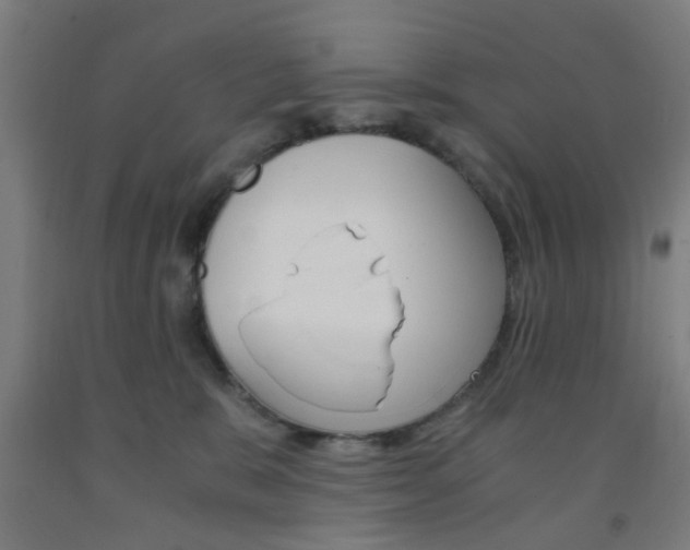 X0000093240327200709261535