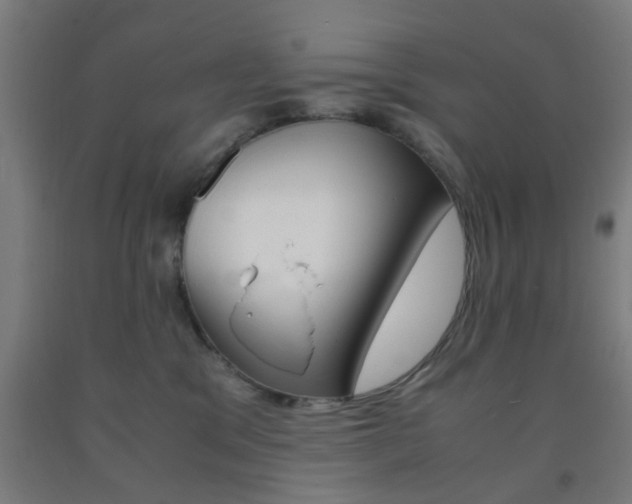 X0000093240329200709261535