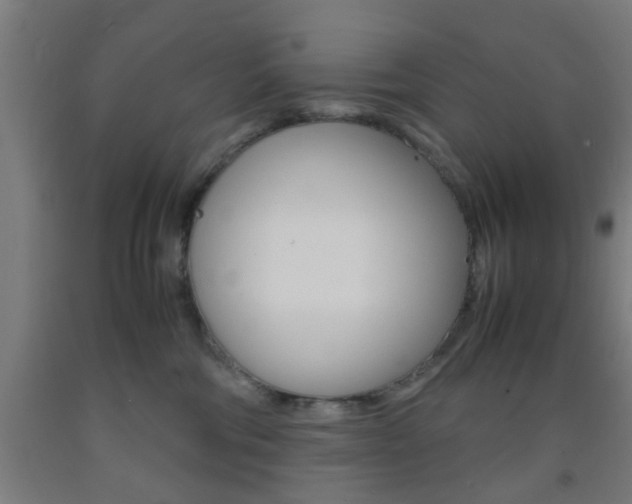 X0000093240330200709261535