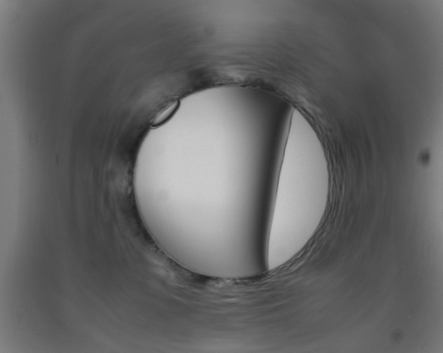 X0000093240331200709261535