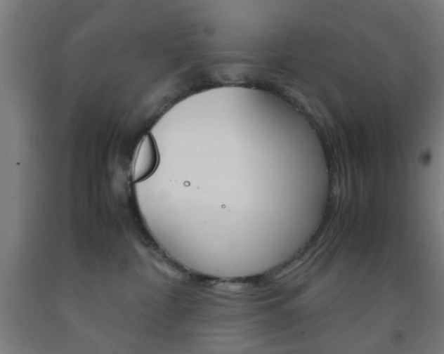 X0000093240332200709261535