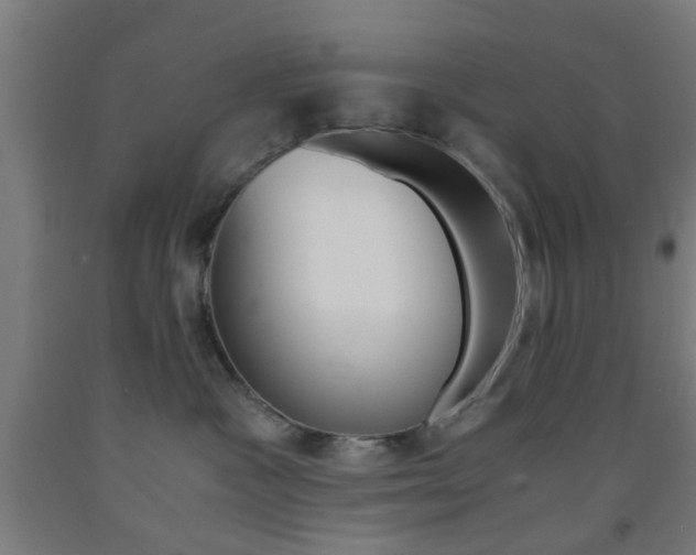X0000093240333200709261535