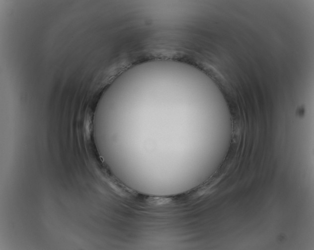 X0000093240334200709261535