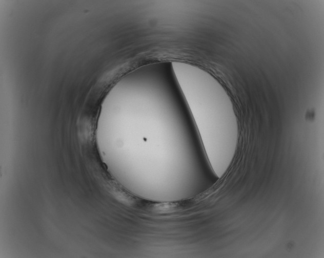 X0000093240335200709261535