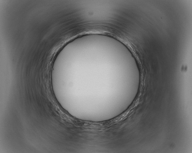 X0000093240337200709261534