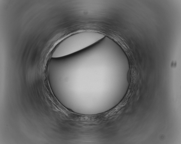 X0000093240338200709261534