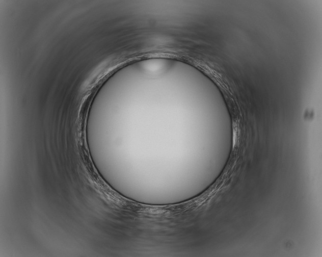 X0000093240339200709261534