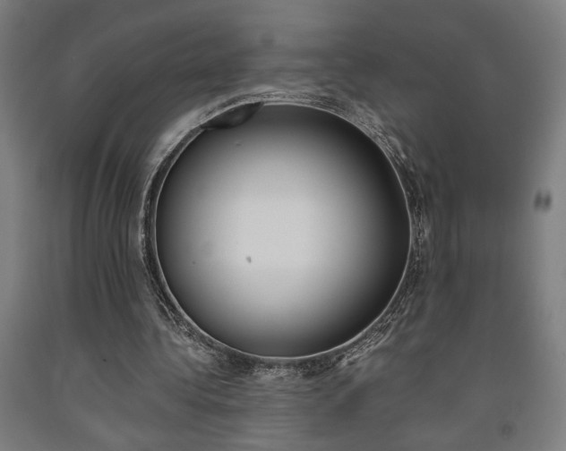 X0000093240340200709261534