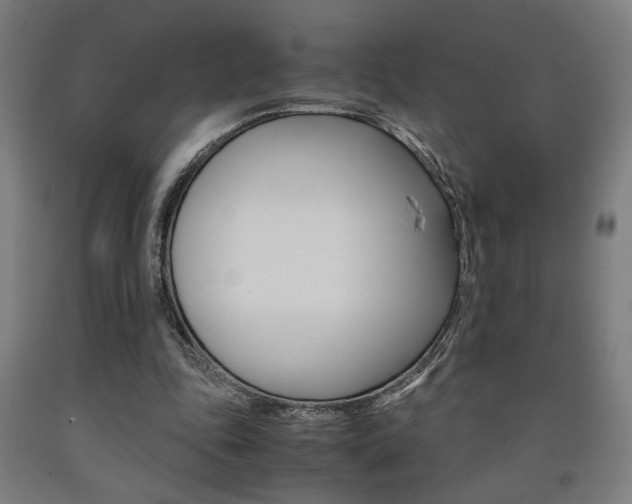 X0000093240343200709261534