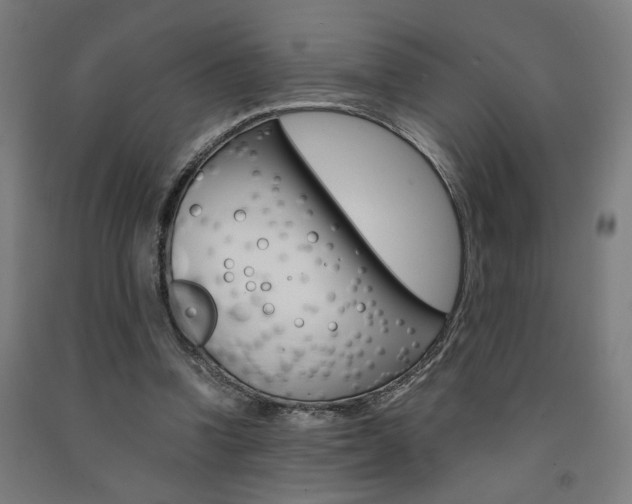 X0000093240346200709261534