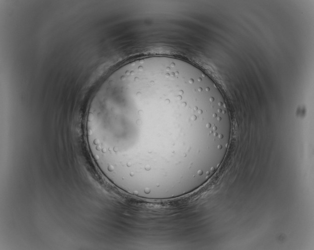 X0000093240347200709261534