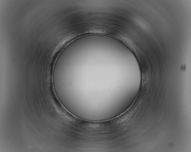 X0000093240349200709261534