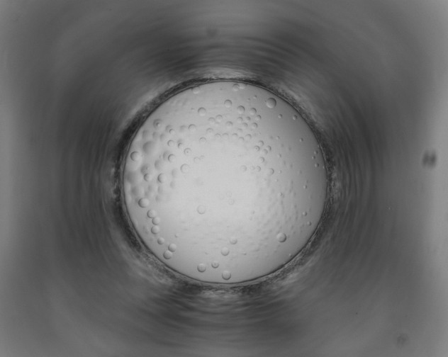 X0000093240351200709261534