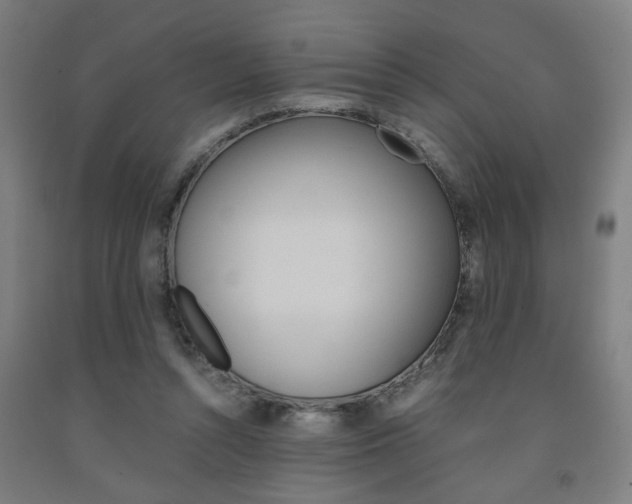 X0000093240352200709261534