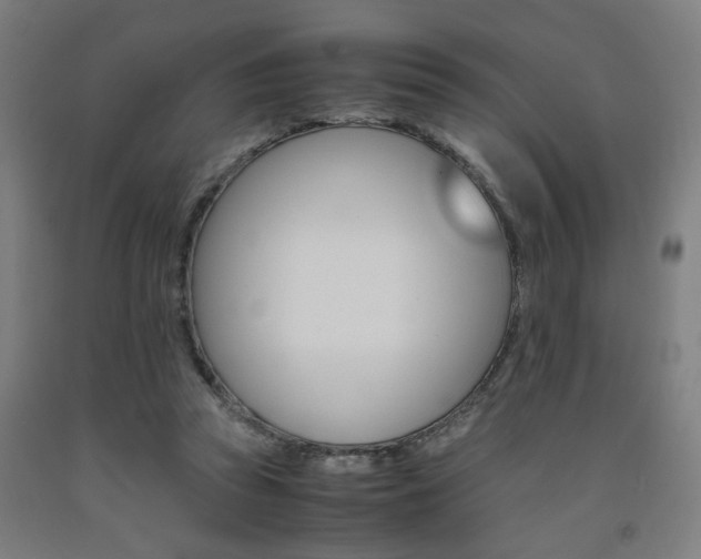 X0000093240353200709261534