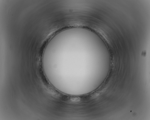 X0000093240355200709261534
