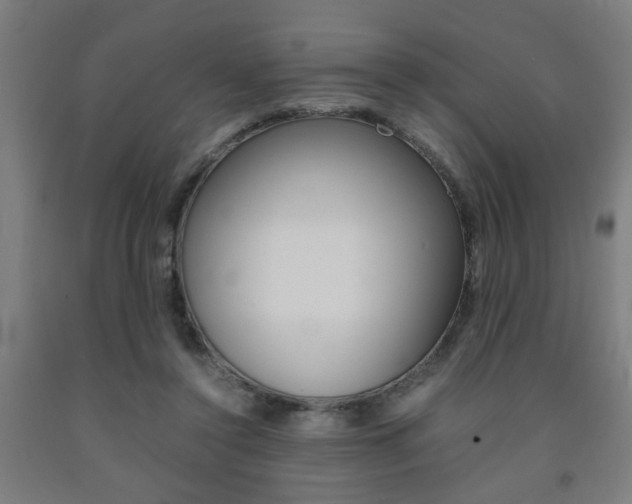 X0000093240356200709261534
