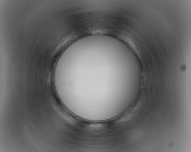 X0000093240357200709261534