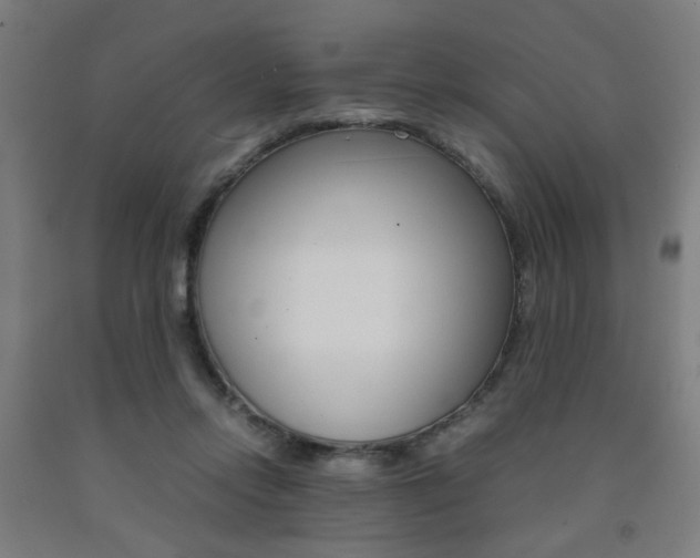 X0000093240358200709261535