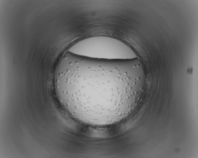 X0000093240359200709261535