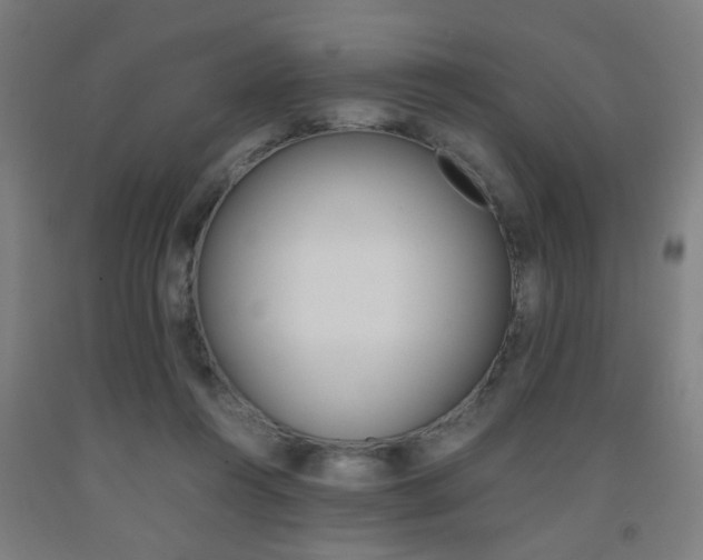 X0000093240360200709261535