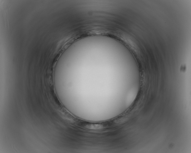 X0000093240361200709261535
