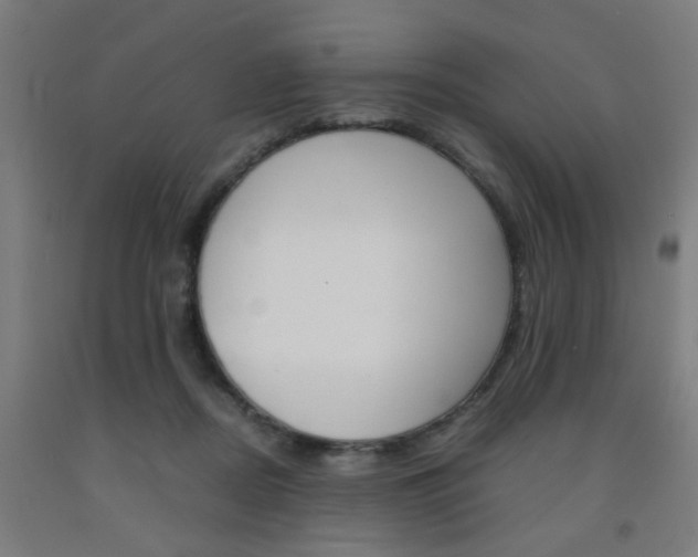 X0000093240362200709261535