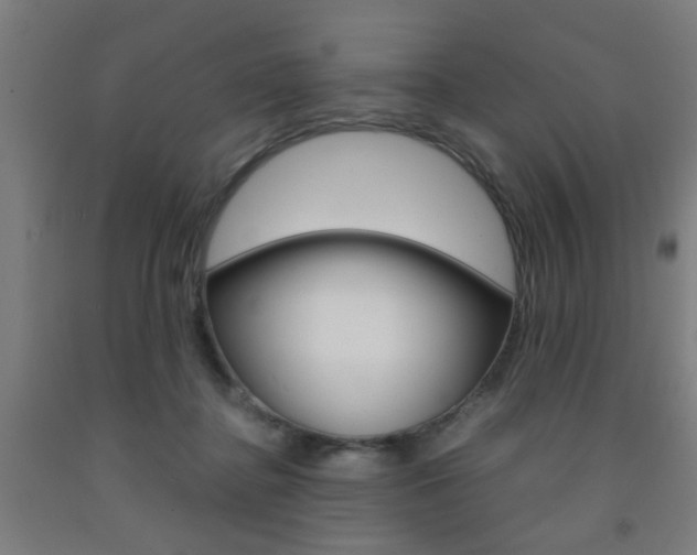 X0000093240364200709261535