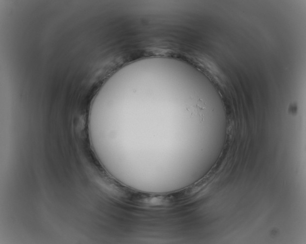 X0000093240365200709261535
