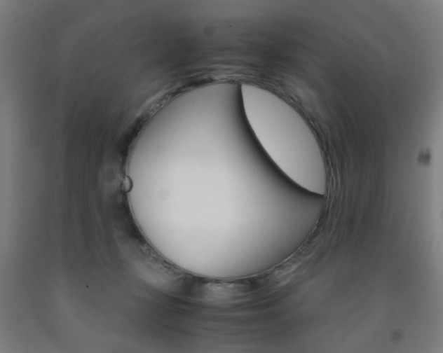 X0000093240367200709261535