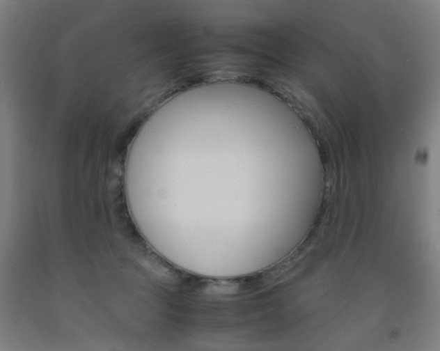 X0000093240369200709261535