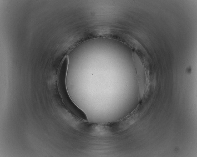 X0000093240372200709261535