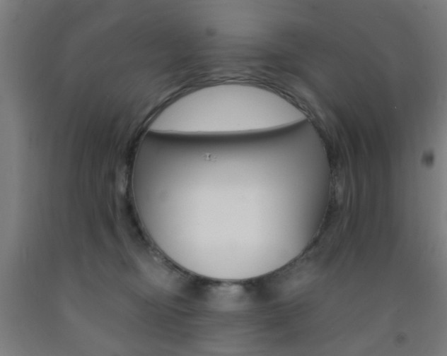 X0000093240374200709261535
