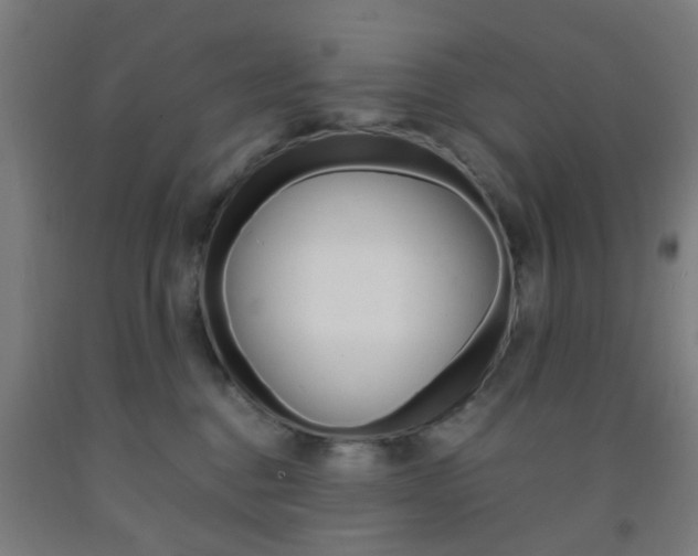 X0000093240376200709261535