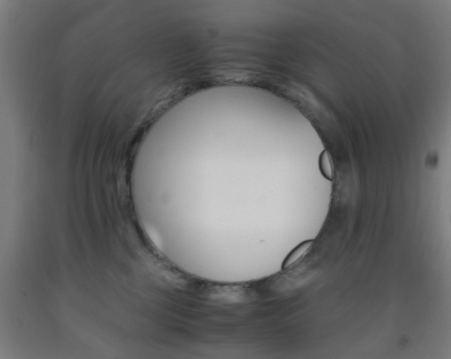 X0000093240377200709261535